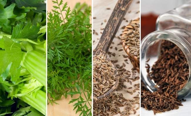Top 7 Celery Seed Substitutes