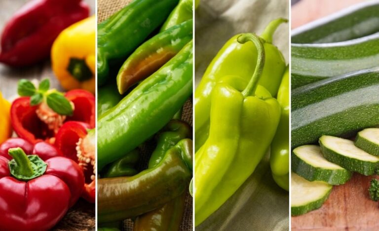 Substitute For Bell Peppers In Recipes