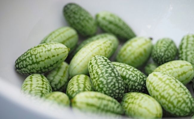 What Does Cucamelon Taste Like?