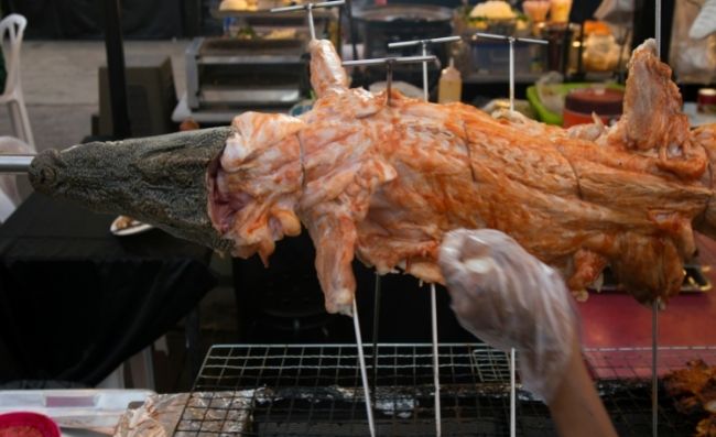 What does Crocodile Meat Taste Like?