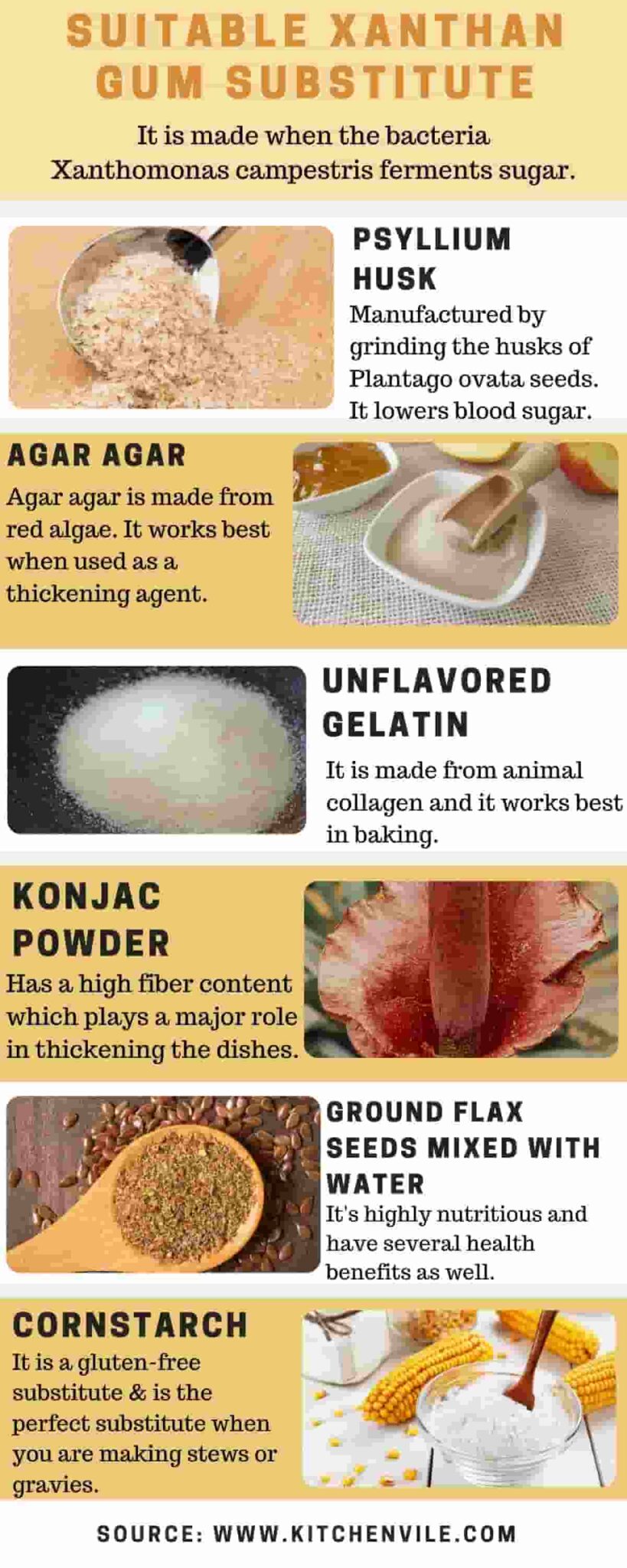 What is a suitable Xanthan Gum Substitute? KitchenVile