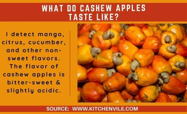 What Do Cashew Apples Taste Like? - KitchenVile