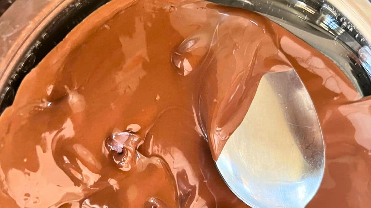 A spoon in a bowl of chocolate spread.