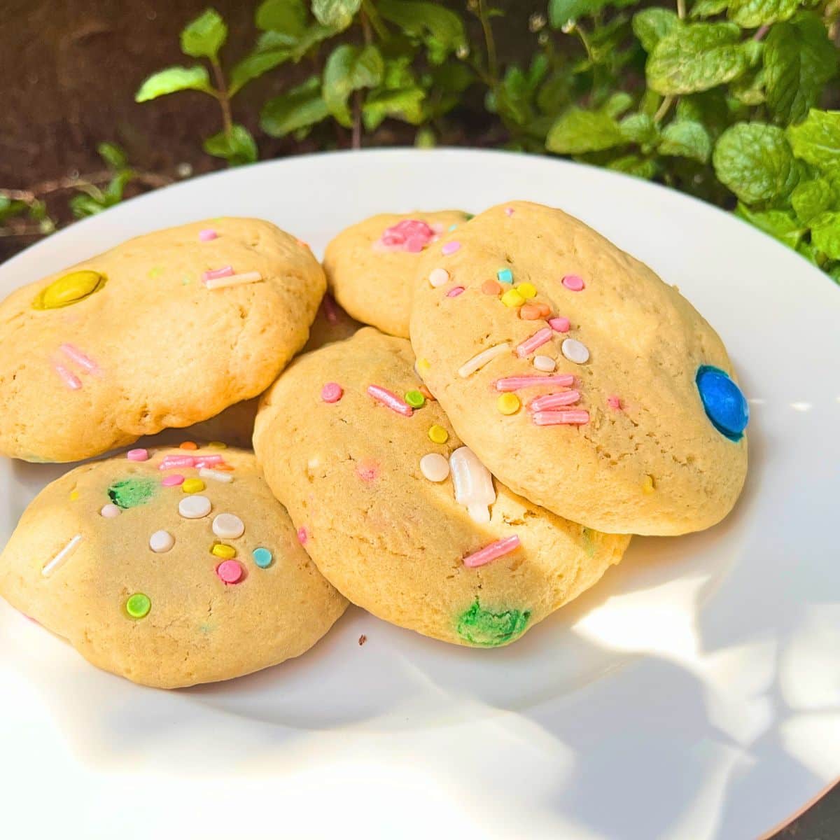 A plate of M and M cookies with sprinkles.